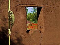 Jardin de Timalizene Hotel Marrakech Riad Marrakech : Images et Photos 