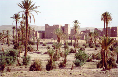 kasbah d'hôtes AYAD Hotel Ouarzazate Riad Ouarzazate :  loisirs