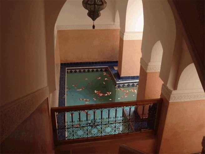 DAR TINMEL Hotel Marrakech Riad Marrakech : Images et Photos 