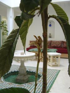 Hotel Riad DAR FTOUMA Riad Marrakech Tourisme Maroc