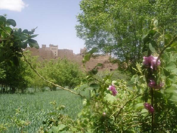 kasbah Assafar Hotel El Kelaa Mgouna Riad El Kelaa Mgouna : Exemple de Suite