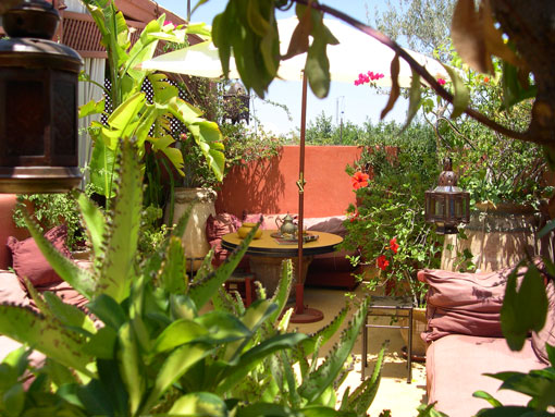 RIAD LA TERRASSE DES OLIVIERS Hotel MARRAKECH MEDINA Riad MARRAKECH MEDINA :  loisirs