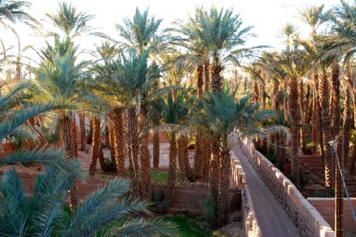 Les jardins du Draa Hotel Zagora Riad Zagora :  services pour Handicaps